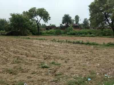 Gallery Cover Image of Sq.ft Residential Plot for buy in Nagina Avenue for 4000000