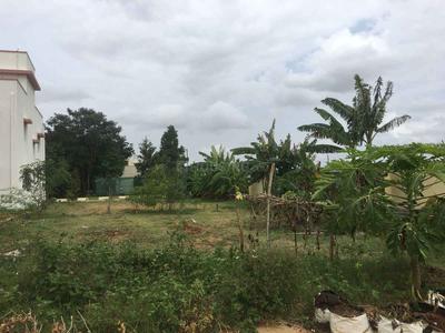 Residential Plot