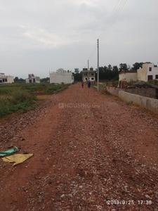 Gallery Cover Image of Sq.ft Residential Plot for buy in Sector 67 for 1500000