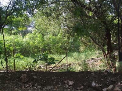 Gallery Cover Image of Sq.ft Residential Plot for buy in Pimple Nilakh for 27000000