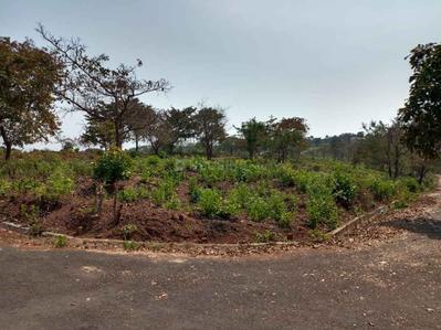 Buy Residential Plots for sale in Goa Velha, Goa | 6+ Lands for sale in Goa  Velha, Goa