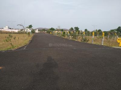 Residential Plot