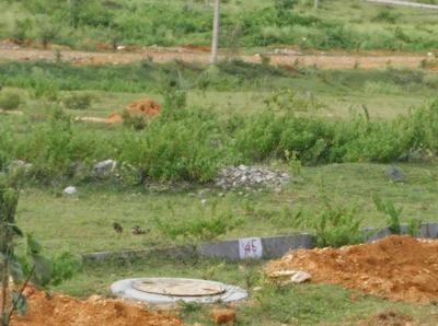 Gallery Cover Image of Sq.ft Residential Plot for buy in Sathgalli for 6500000