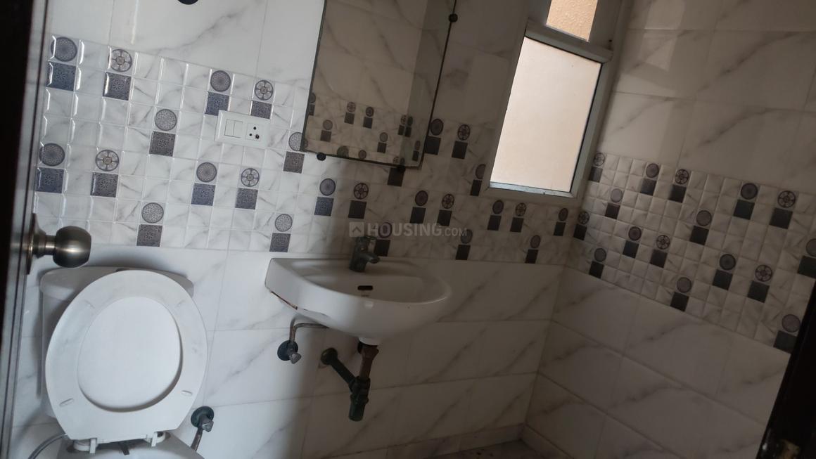 Exotica Dreamville - Image 13