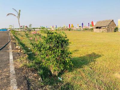 Residential Plot