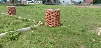 Gallery Cover Image of Sq.ft Residential Plot for buy in Amausi for 1320000