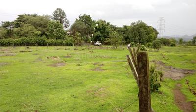 Residential Plot