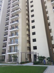 3 BHK Apartment