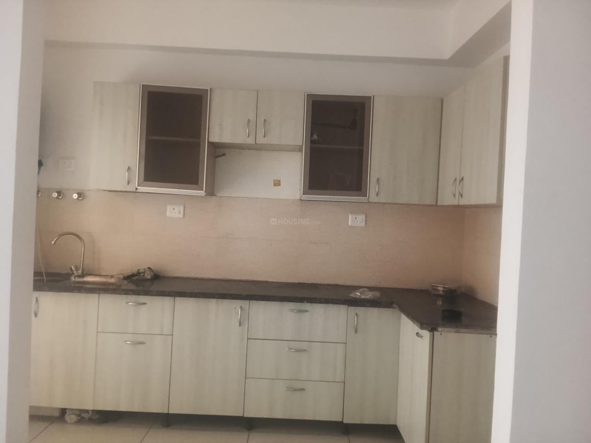 Supertech The Romano - Image 8