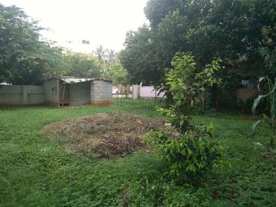 Residential Plot