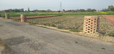Residential Plot
