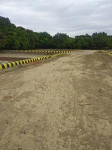 Residential Plot