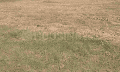 3000 Sq.ft Residential Plot for Sale in Mainpur, Jaunpur