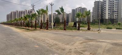 Residential Plot