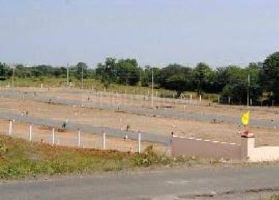 Residential Plot