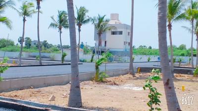 Residential Plot