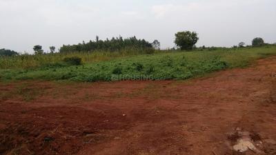 Residential Plot