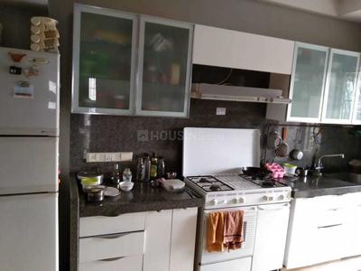 Kitchen Image of PG 4195401 Bandra West in Bandra West