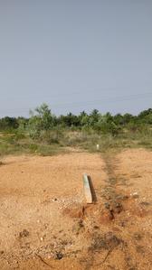 Gallery Cover Image of Sq.ft Residential Plot for buy in Vairavapuram for 600000