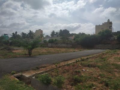 Residential Plot