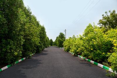 150 Sq.ft Residential Plot for Sale in Kadthal, Hyderabad