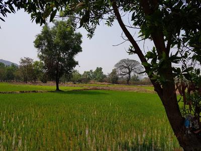 Residential Plot