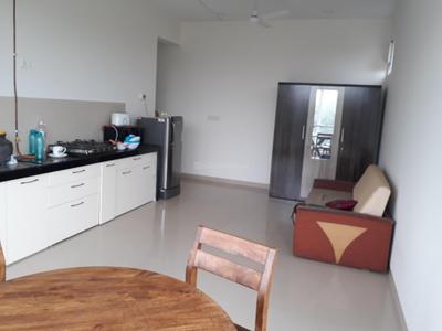 1 RK Apartment