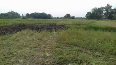 Gallery Cover Image of Sq.ft Residential Plot for buy in Joka for 180000