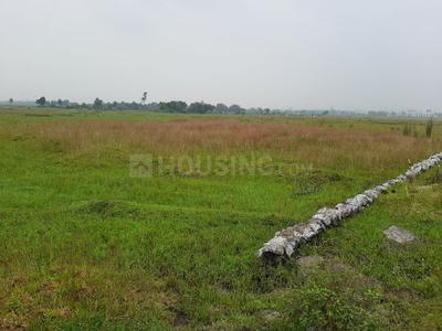 Gallery Cover Image of Sq.ft Residential Plot for buy in Bidhannagar for 1050000