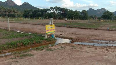Gallery Cover Image of Sq.ft Residential Plot for buy in Brodipet for 840000