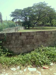 Gallery Cover Image of Sq.ft Residential Plot for buy in Maruthoorkadavu for 50000000