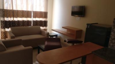 1 RK Apartment