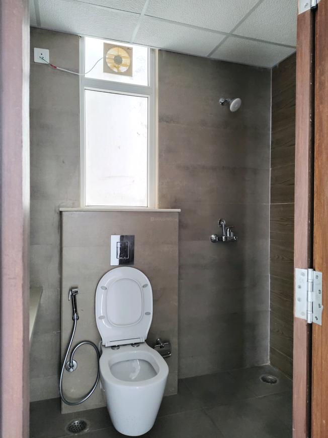 ACE Ace Starlit - Image 11