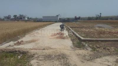 Gallery Cover Image of Sq.ft Residential Plot for buy in Mehuwala for 1200000