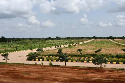 Residential Plot