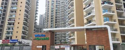 Gallery Cover Image of 1544 Sq.ft 3 BHK Apartment for buy in Town White Orchid, Noida Extension for 5800000