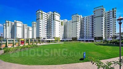Gallery Cover Image of 1100 Sq.ft 3 BHK Apartment for buy in Kambipura for 5100000
