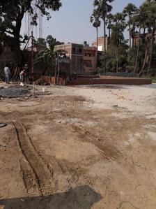 1200 Sq.ft Residential Plot for Sale in Sadikpur, Patna