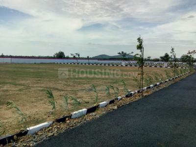 Residential Plot