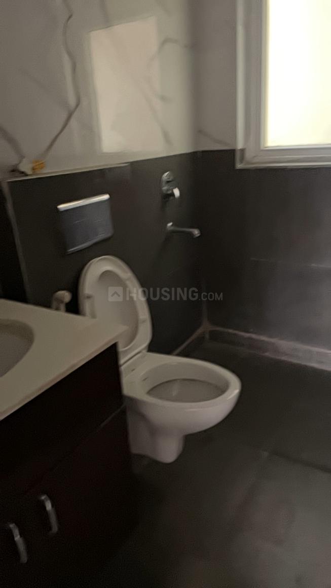 AIG Aigin Royal - Image 15