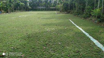 Residential Plot