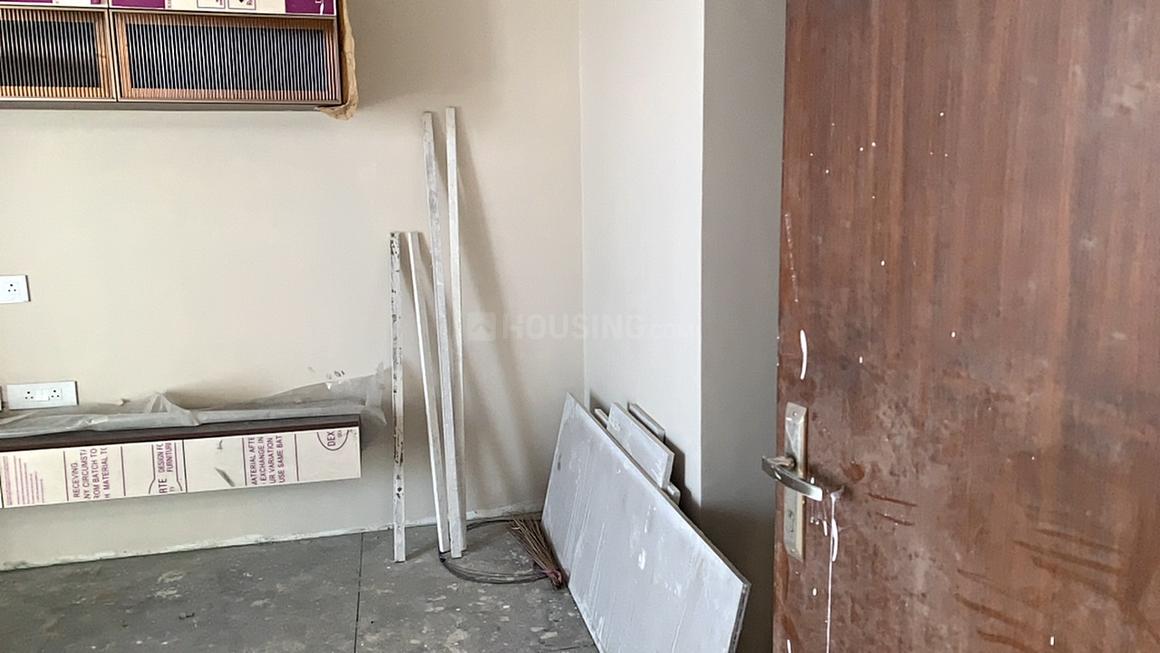 Apex D Rio - Image 7