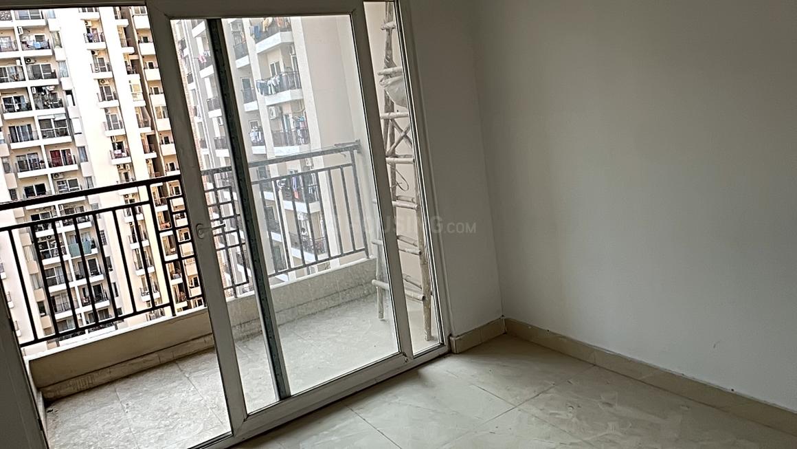 ACE Divino - Image 6