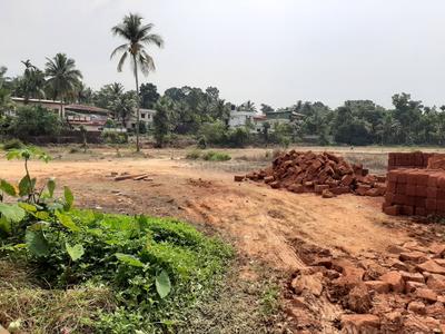 Gallery Cover Image of Sq.ft Residential Plot for buy in Bendoor for 840000