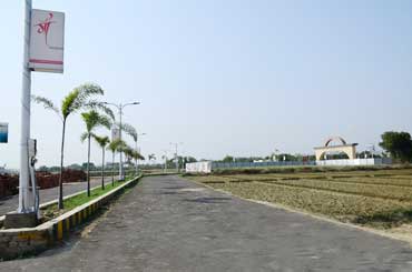 Residential Plot