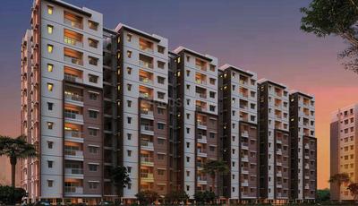 3 BHK Apartment