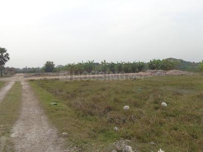 Gallery Cover Image of Sq.ft Residential Plot for buy in Baruipur for 295000