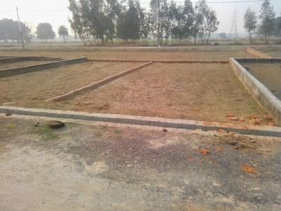 Gallery Cover Image of Sq.ft Residential Plot for buy in Nirala Nagar for 1320000