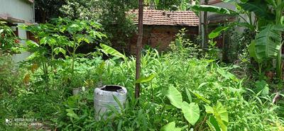 1260 Sq.ft Residential Plot for Sale in Barrackpore, Kolkata