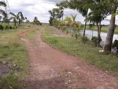 Gallery Cover Image of Sq.ft Residential Plot for buy in Julpia for 500000